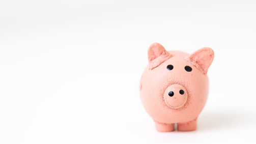 Ein Foto von Spielzeug-Schwein, das das Krankenhaustagegeld symbolisiert.
